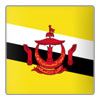 Brunei U21