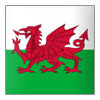 Wales U17 Nữ